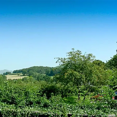 Fair Cop * Hawkshead