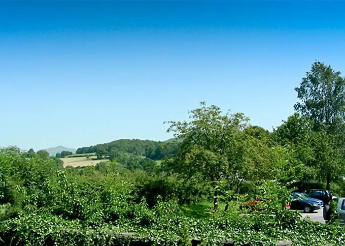 Fair Cop * Hawkshead